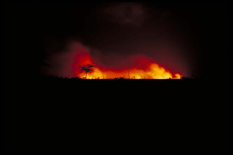 Fire in Etosha II