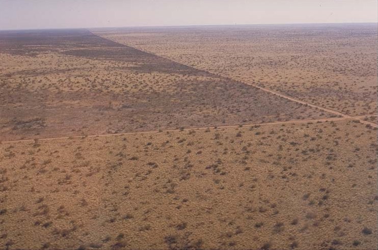 Fire in Etosha IV