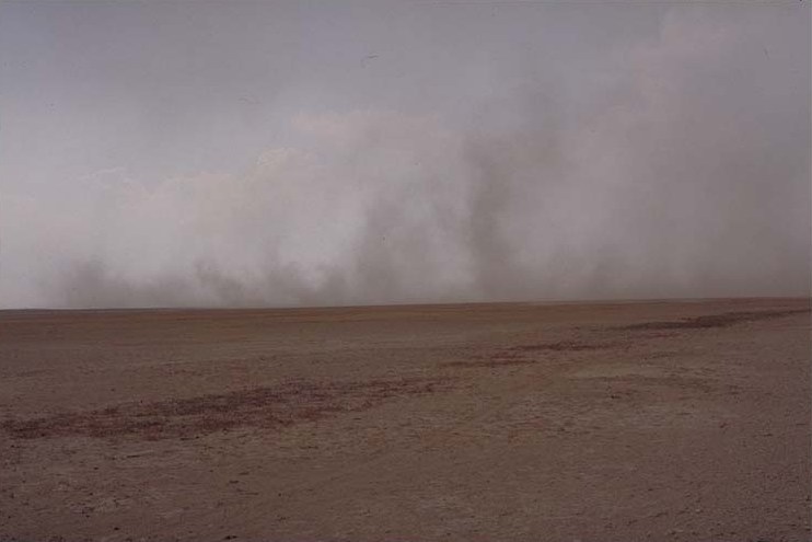 Fire in Etosha V