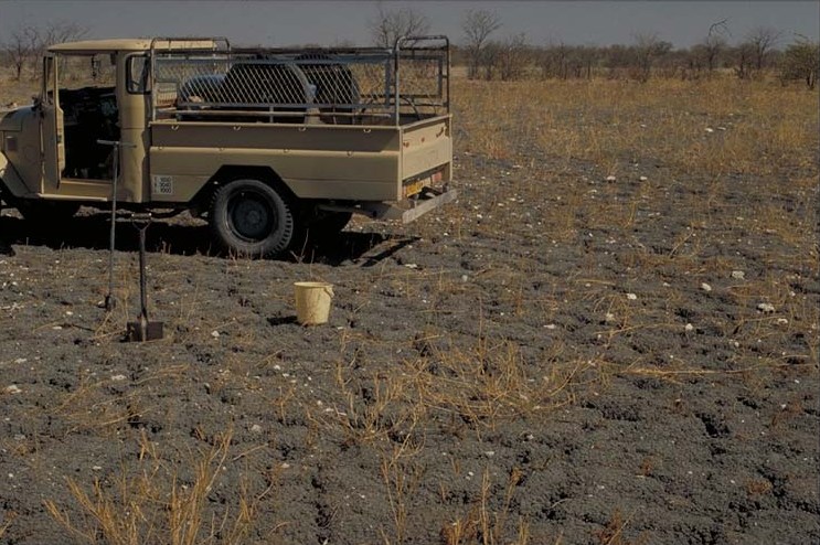 Vertisol Soils Etosha I