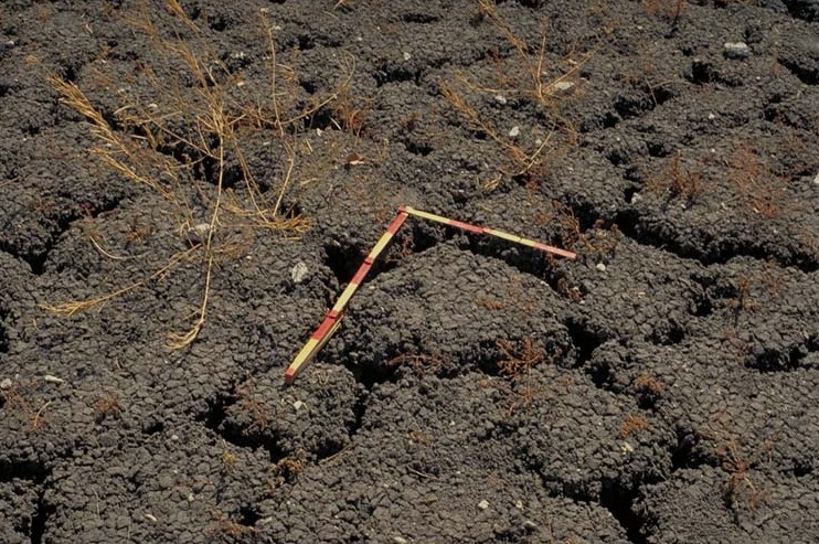 Vertisol Soils Etosha II