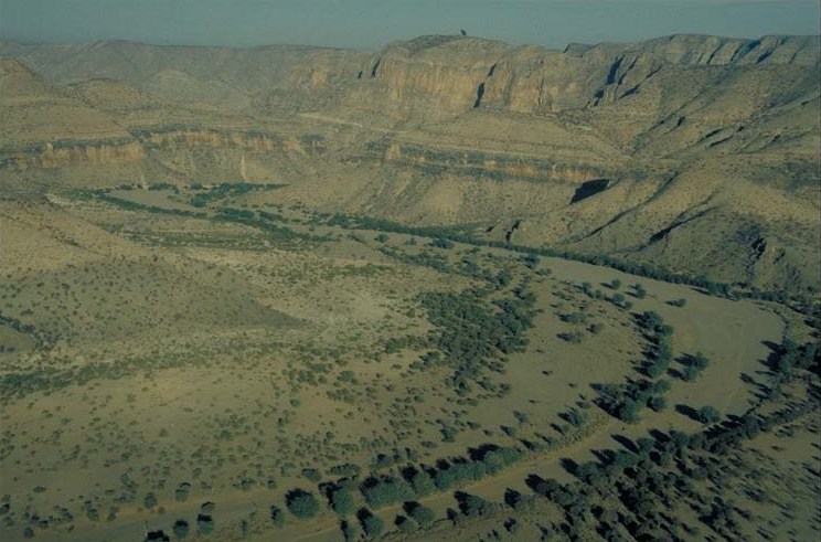 Western Etosha - Damaraland VIII