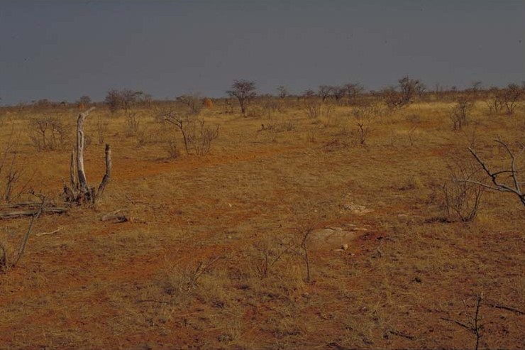 Western Etosha I