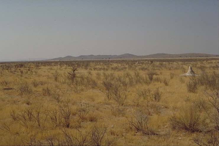 Western Etosha IV